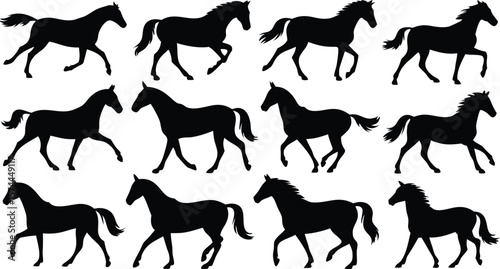 Twelve Silhouette Images of Horses in Various Poses, Walking, Trotting, or Standing, Against a White Background