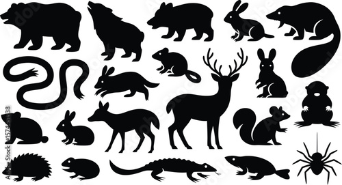 Black Animal Silhouettes Bear, Deer, Snake, Rabbit, Beaver, Squirrel, Lizard, Hedgehog and Spider Illustration
