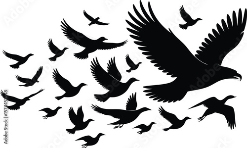 Silhouette Illustration of an Eagle and a Flock of Birds Flying Together