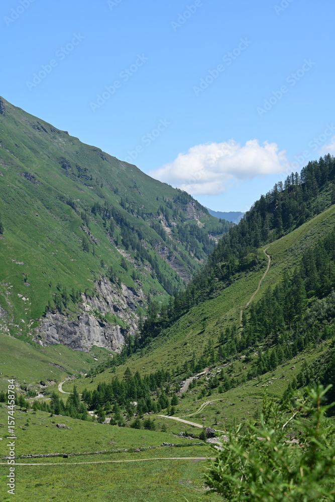 Fototapeta premium Gebirgslandschaft mit steilen grasbewachsenen Berghängen im Sommer