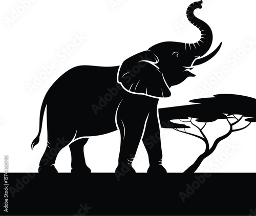 Elephant raising trunk near acacia tree savanna silhouette