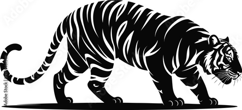 Black tiger walking with striped pattern white stripes