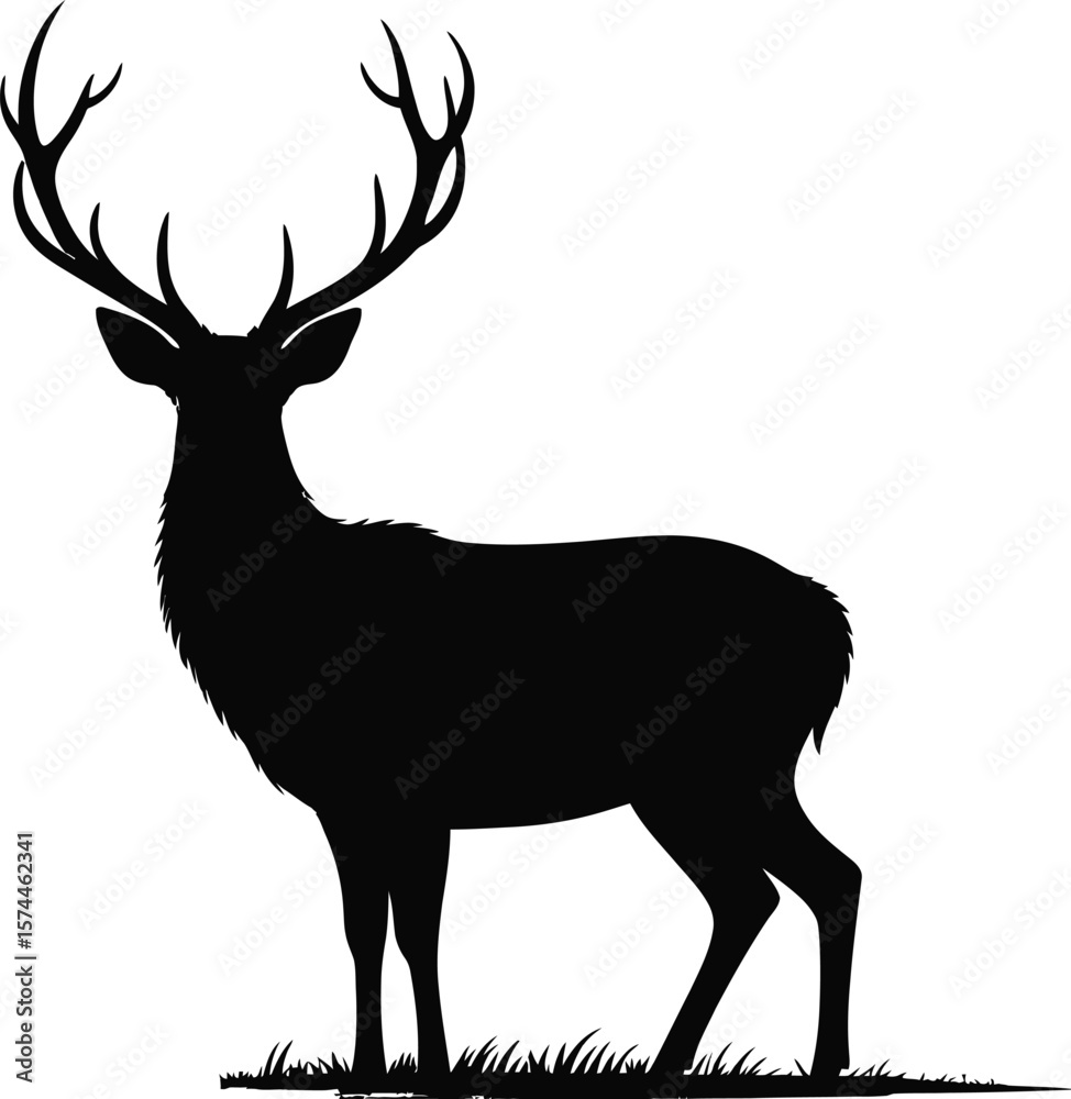 Obraz premium Majestic stag standing on grass deer silhouette