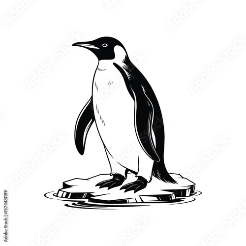 Majestic emperor penguin standing proudly on an ice floe against a clean white backdrop, presented in striking black and white illustration