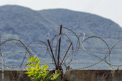 Barbed wire on an old concrete fence blocks the path of intruders.