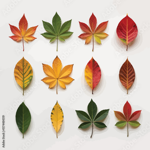 Collection of diverse autumn leaves showcasing vibrant colors and varied shapes