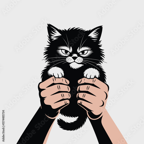 Grumpy fluffy black kitten held up by human hands against a light gray background