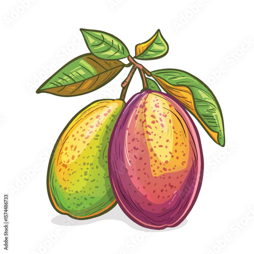 Vibrant Duo of Plums with Lush Green Leaves