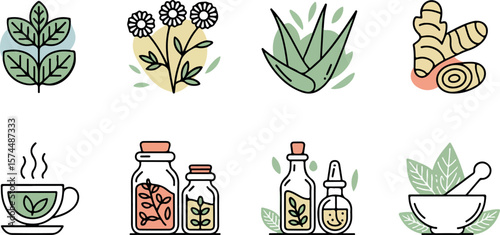 Herbal Remedies and Natural Wellness Collection for Holistic Health Practices
