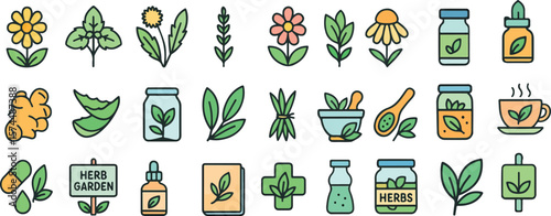 Collection of Herbal Medicine and Natural Health Care Icons for Wellness