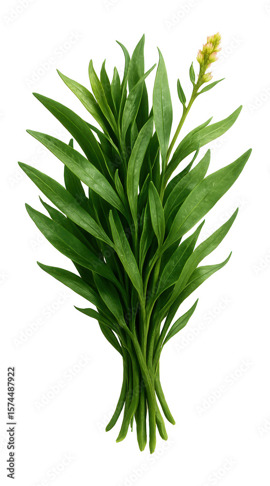 Fototapeta premium A blueberry muffin with a cracked golden-brown top, revealing juicy berries peeking through the surface.