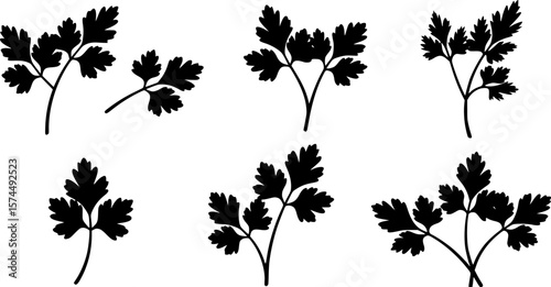 A collection of stylized parsley sprigs in black silhouette against white backdrop
