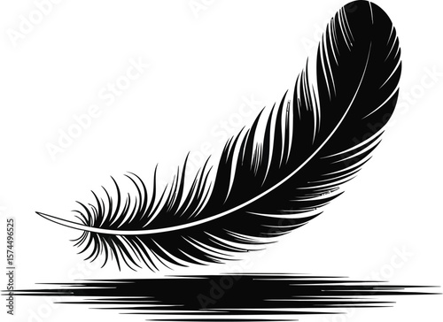 A black and white illustration of a feather with a shadow on a white background
