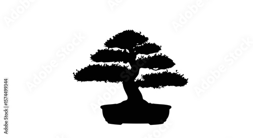 Serene Bonsai Tree: A Symbol of Zen and Tranquility in Japanese Culture