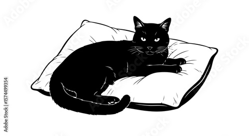 Black Cat Resting on a Pillow: A Cozy and Relaxing Pet Image