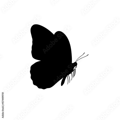 Elegant Black Butterfly Silhouette: Nature's Grace in Monochrome