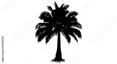 Palm Tree Silhouette: A Tropical Paradise   Black and White Minimalist Design