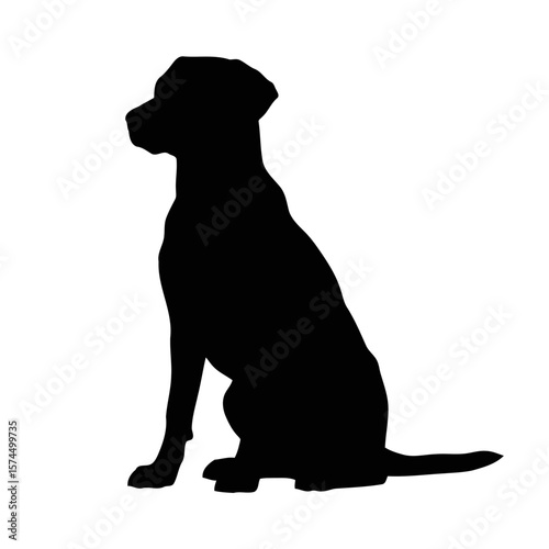 Majestic Canine Silhouette: A Black and White Dog Portrait