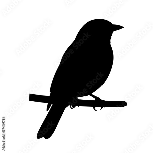 Bird Silhouette on Branch: Elegant Minimalist Nature Vector Graphic