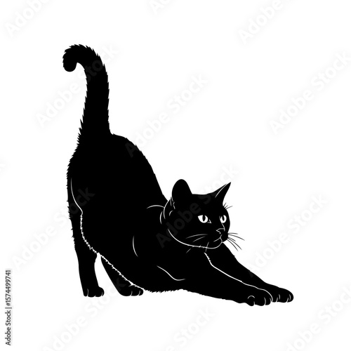 Majestic Black Cat Silhouette: Stretching in Elegant Pose