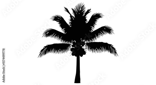 Majestic Silhouette of a Coconut Palm Tree: A Tropical Paradise