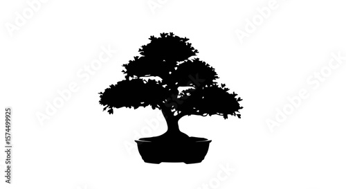 Bonsai Tree Silhouette: Zen Garden Minimalist Art