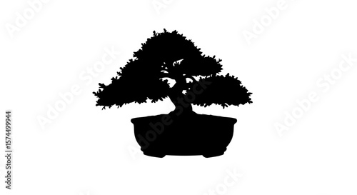 Bonsai Tree Silhouette: A Minimalist Zen Garden Artwork