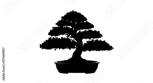 Bonsai Tree Silhouette: A Minimalist Zen Garden Artwork