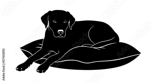 Black Labrador Dog Resting on a Pillow: A Serene Pet Silhouette