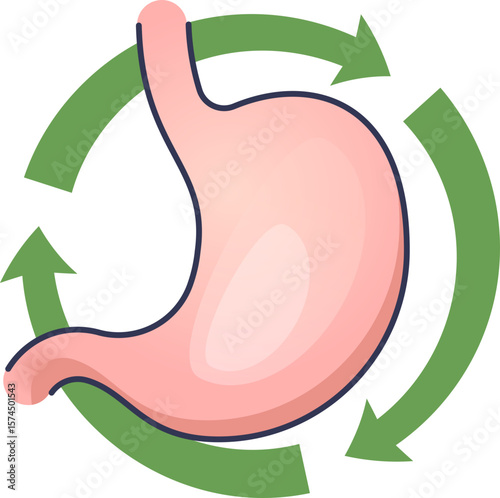 A stomach icon with green arrows symbolizes a healthy digestive cycle. It represents gut health restoration, digestive reset, and improved gut function.