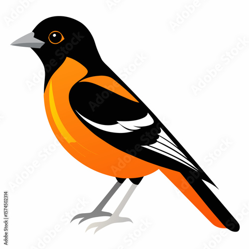 Vibrant Orange Baltimore Oriole Bird Illustration Graphic Design Element