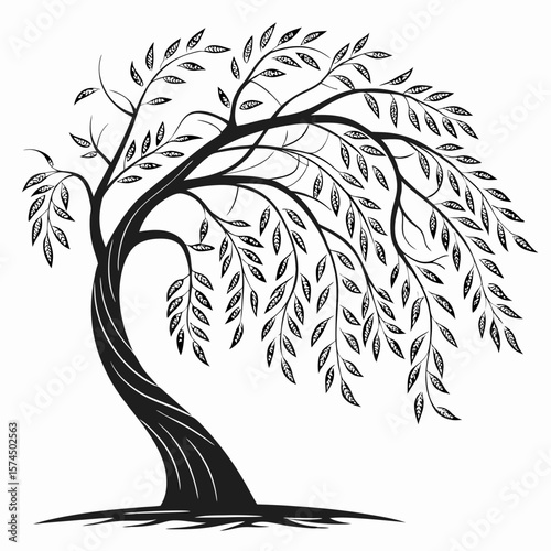 Elegant Weeping Willow Tree Silhouette Black Ink Drawing Nature Illustration Botanical Design