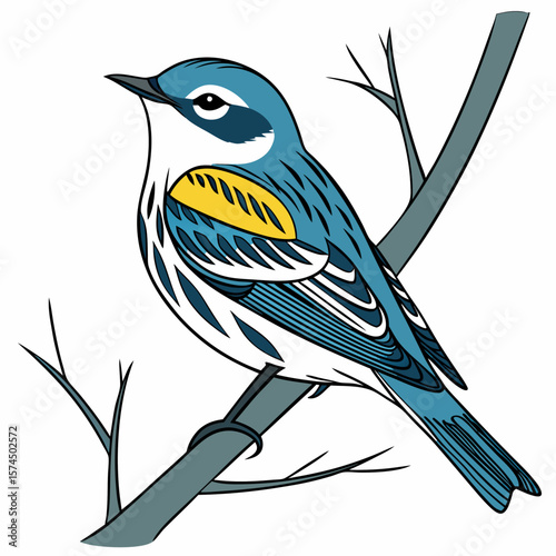 Blue Yellow Rumped Warbler Bird Perched Branch Nature Illustration Graphic Design