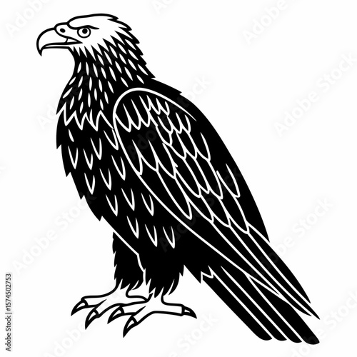 Majestic Black and White Eagle Illustration Powerful Bird of Prey Graphic Design