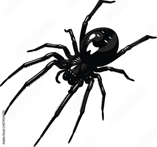 A detailed illustration presents a black spider with sleek legs and a glossy body, casting a distinct shadow against a stark white background.