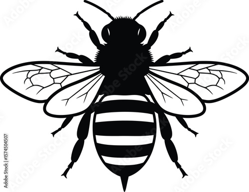 A detailed silhouette of a buzzing bee showcases its intricate wings and striped abdomen, creating a striking insect illustration ready for creative designs.