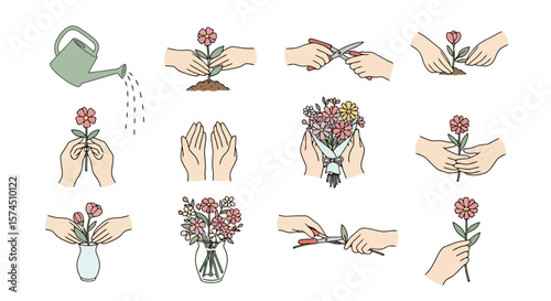 Flower Care & Arrangement: Step-by-Step Illustration