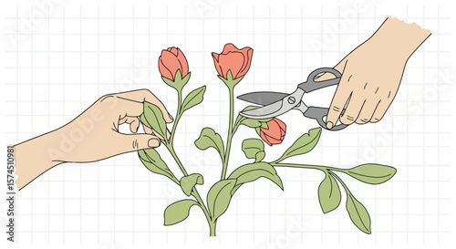 Flower Arrangement: Hands Arranging Blooms