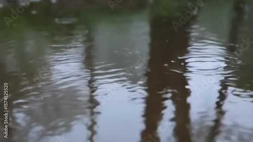 Close up shot of rain drops on puddle in the forest, cinematic vibe.