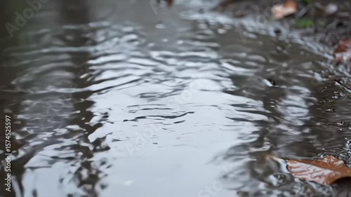 Close up shot of rain drops on puddle in the forest, cinematic vibe.