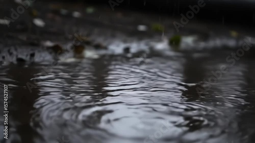 Close up shot of rain drops on puddle in the forest, cinematic vibe.