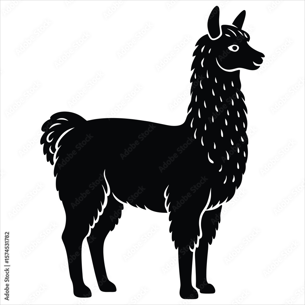 Fototapeta premium Silhouette of a Graceful Llama with Intricate Patterns on White