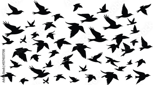 Numerous Black Bird Silhouettes Depicting a Large Scattered Group Flying Across the Sky