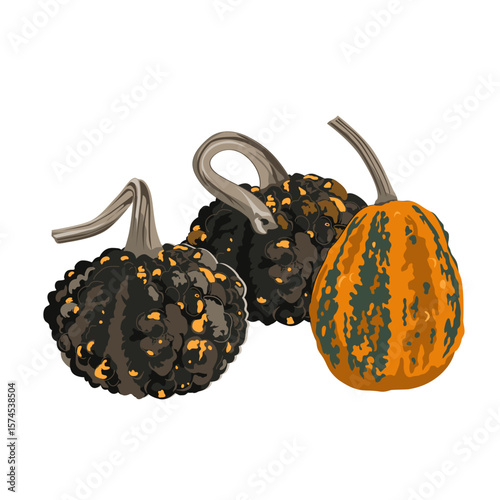 Funny small decorative pimpled pumpkin composition isolated on white. Pimply and warty gourd vector drawing illustration