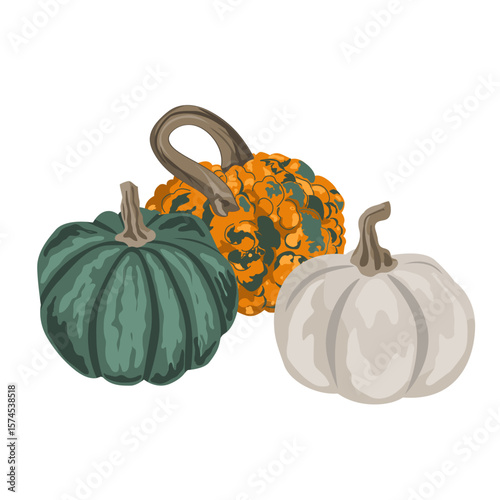 Pumpkins composition isolated on white. Cozy small gourds autumn decoration. Vector squash set illustration