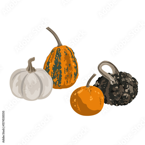 Funny small decorative pimpled pumpkin composition isolated on white. Pimply and warty gourd vector drawing illustration