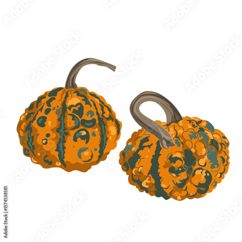 Funny small decorative pimpled pumpkin composition isolated on white. Pimply and warty gourd vector drawing illustration
