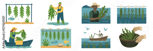 Seaweed harvesting in a coastal area during sunny midday with a variety of activities by local fishermen and farmers