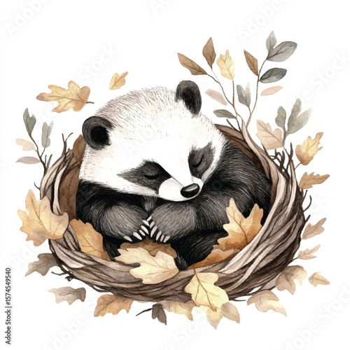 Watercolor depiction of a sleeping badger nestled in a cozy autumn nest