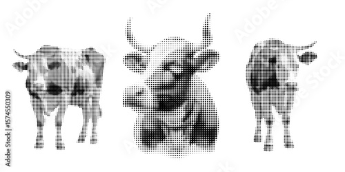 Cow, halftone vector illustration of a bull, in retro comic book style with bold dotted texture. Different positions, sitting, standing, Moo, Milk, Black and white image, isolated on white background.